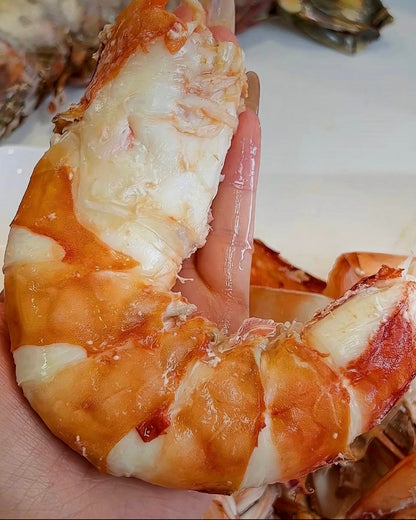 Colossal Black Tiger Prawns